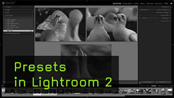 Presets anwenden beim Import der Bilder in Lightroom