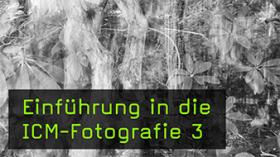 Tipps zur ICM-Fotografie in der Botanik