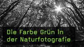 Die grüne Natur: Ein paar fotografische Tipps