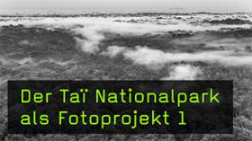 Der Taï Nationalpark als F8-Projekt