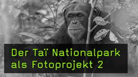 Das Fotoprojekt Taï Nationalpark mit Hans-Peter Schaub