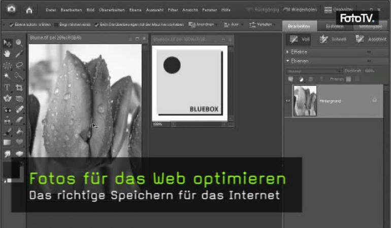 Video Fotos f f r das Web optimieren 